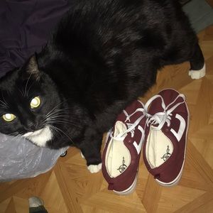 Sole mates brand, never worn, size 6